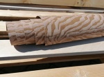 Washpapa AGED sierra Laser Zebra