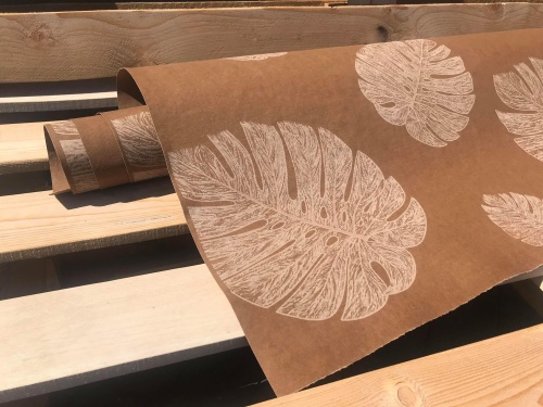 washpapa laser aged sierra monstera.jpg