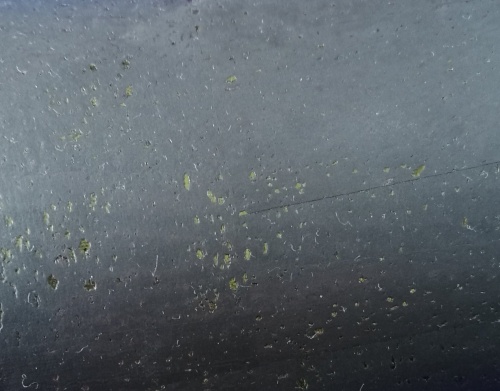 korko naturalny korek w kolorze czarnym z drobinkami w kolorze złotym.jpg