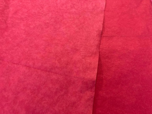 242157893_1025183898241849_7645822992077572006_n_Easy-Resize.com (1).jpg