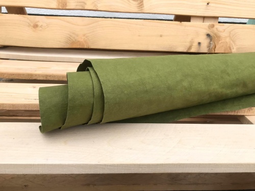 washpapa color guacamole.jpg