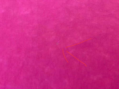 242209749_1132260097300099_7149128944797990752_n.jpg