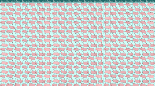 washpapa Alternative Textiles Świnki 500+ Justyna Smółka collection