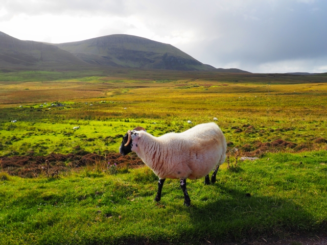 Washpadki tutorial na notes z resztek z washpapy sklep Alternative Textiles